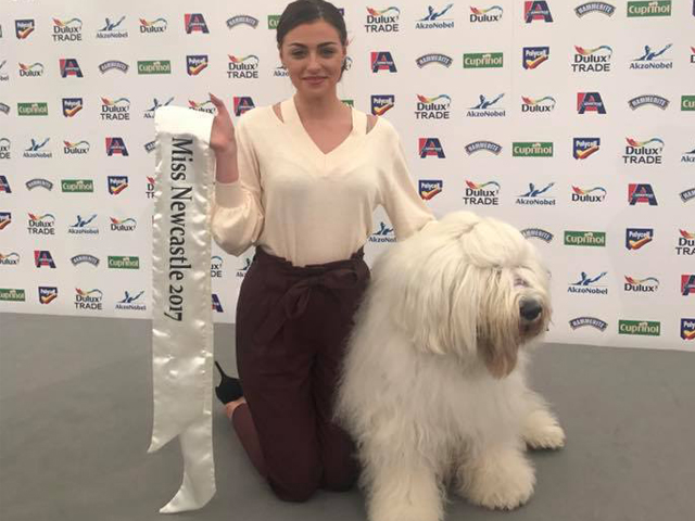 CALLING ALL DOG LOVERS!