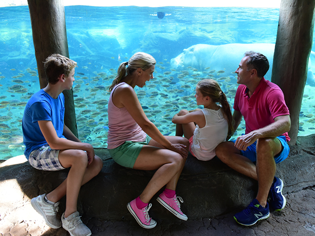 TTM FAMILY @ SEA WORLD PARKS