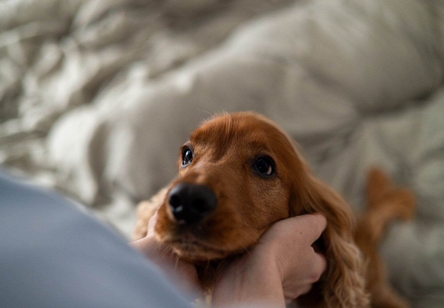 Middlemiss Adams Family