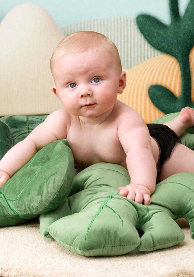 Middlemiss Adams Family