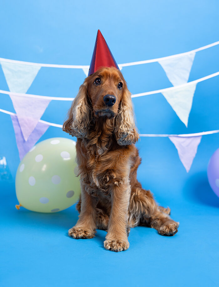 Middlemiss Adams Family