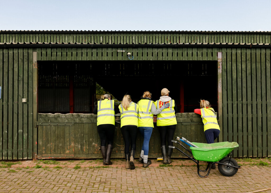 Team TTM Volunteering at Newcastle Dog & Cat Shelter