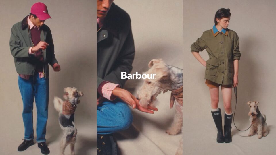 Bob the Terrier for Barbour!