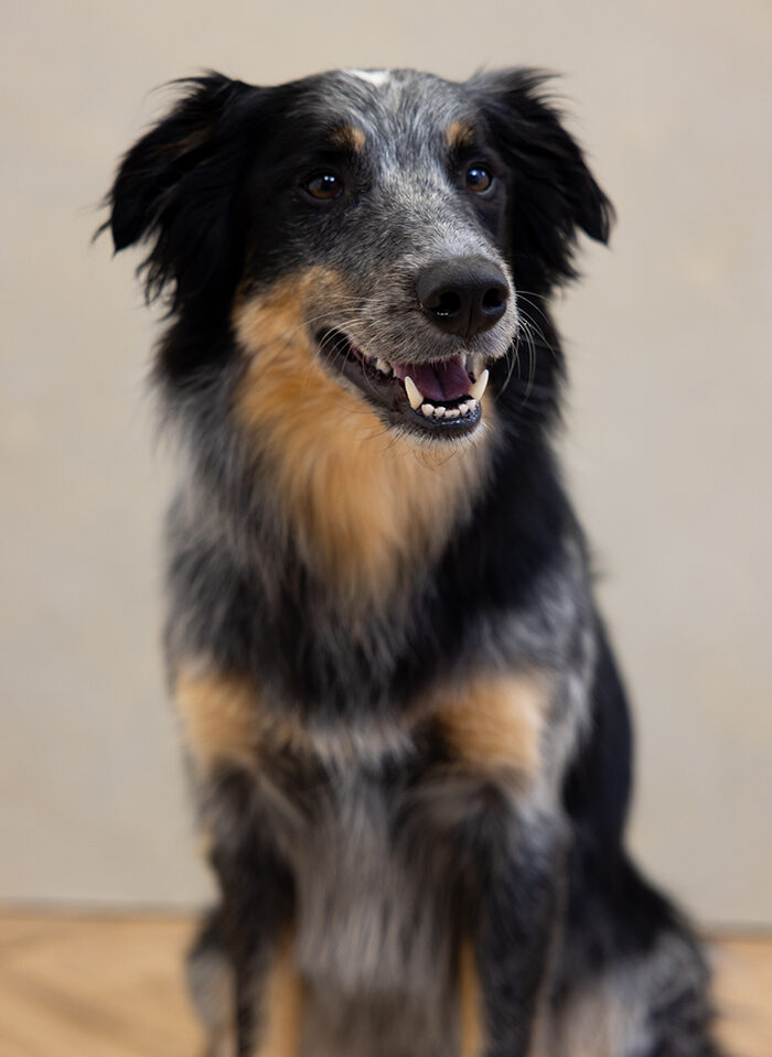 Nathan & Laura Robinson