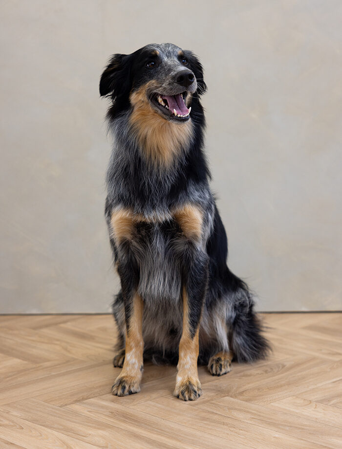 Nathan & Laura Robinson